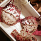 Sexy Underwire Push Up Lace Embroidery Bra & Panty Sets [BRPY0015]