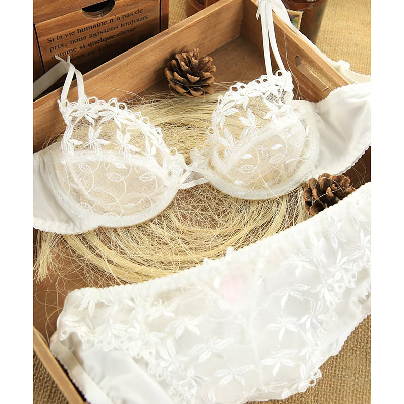 Sexy Underwire Push Up Lace Embroidery Bra & Panty Sets [BRPY0015]