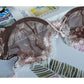 Sexy Underwire Comfortable Lace Sheer Bra & Panty Sets [BRPY0017]