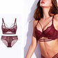 Sexy Underwire Minimizer Lace Sheer Bra & Panty Sets [BRPY0021]