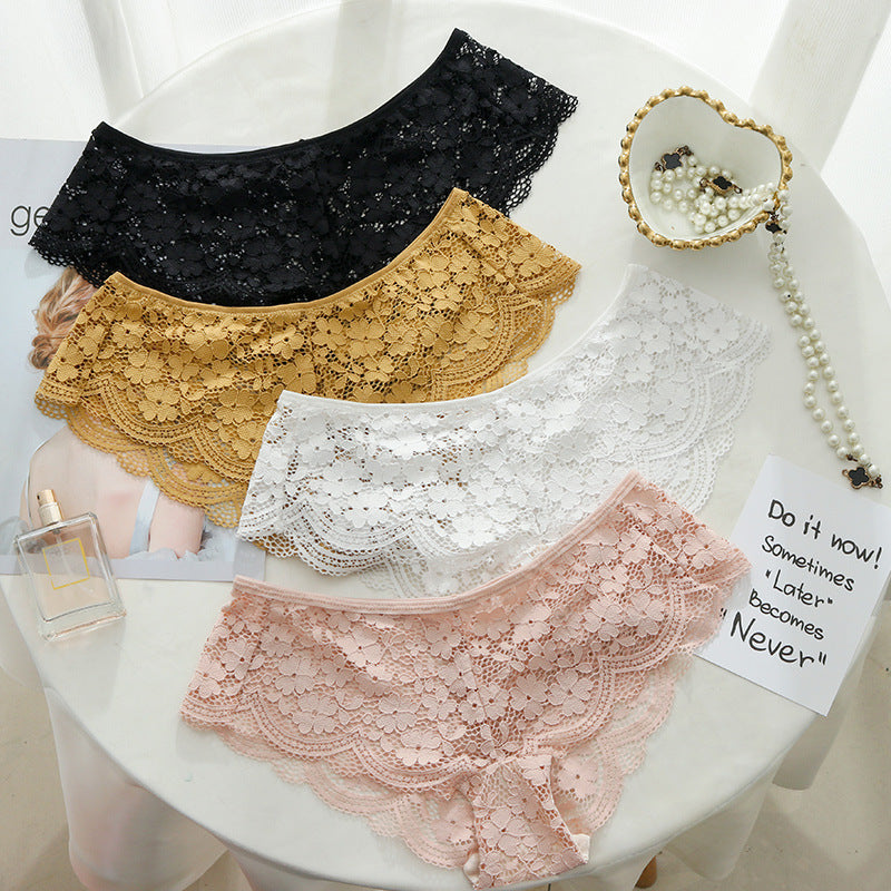 Elegant Wireless Minimizer Lace Embroidery Bra & Panty Sets [BRPY0029]