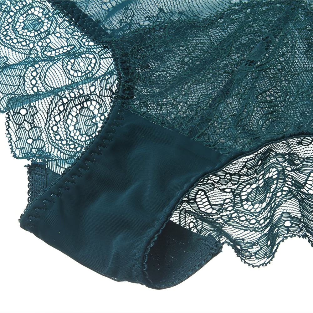 Sexy Underwire Breathable Lace Embroidery Sheer Bra & Panty Sets [BRPY0043]