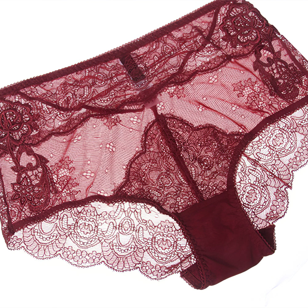 Sexy Underwire Breathable Lace Embroidery Sheer Bra & Panty Sets [BRPY0043]