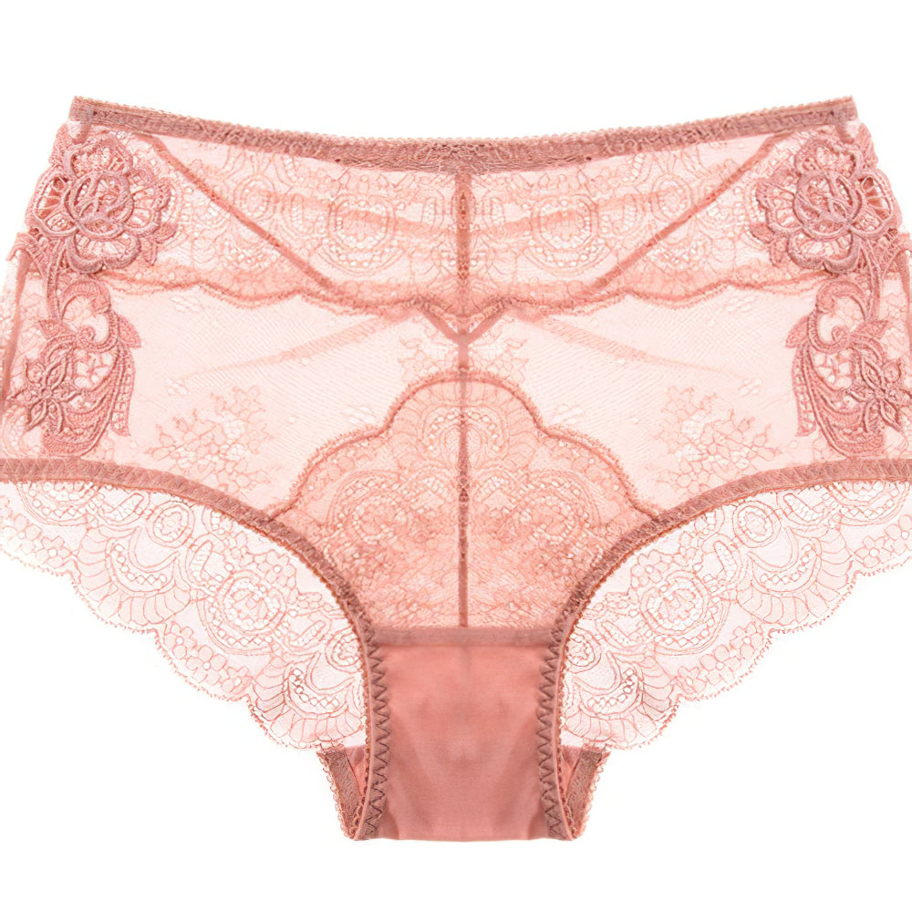 Sexy Underwire Breathable Lace Embroidery Sheer Bra & Panty Sets [BRPY0043]